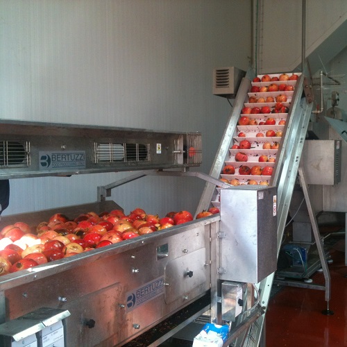 Unit De Fabrication De Confiture GINIDEX ALGERIE